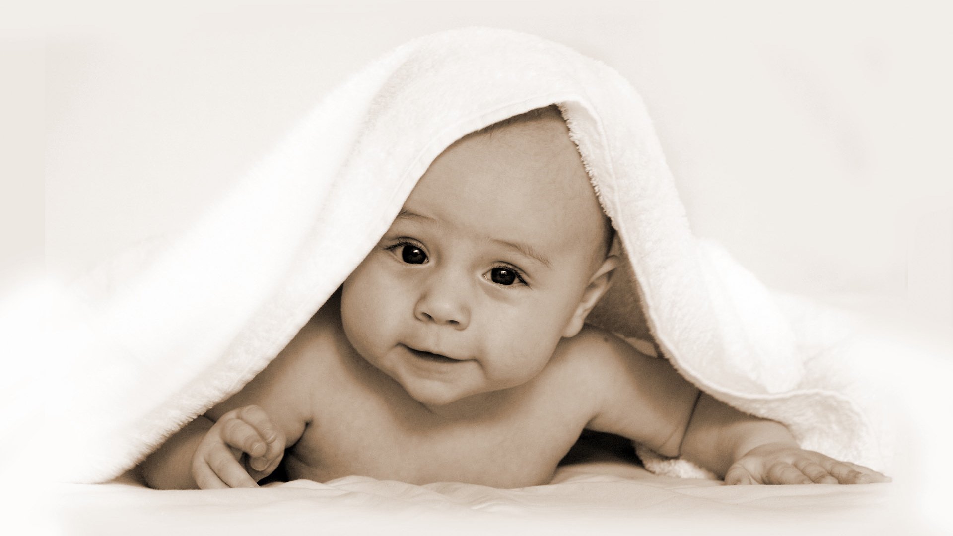 湖州供卵公司机构试管婴儿着床后成功率